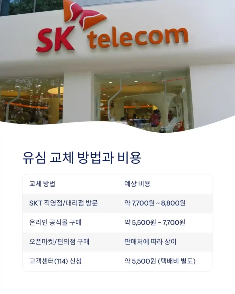 SKT 유심 재설정 방법 유심 재설정과 교체 차이점 및 선택 방법 07