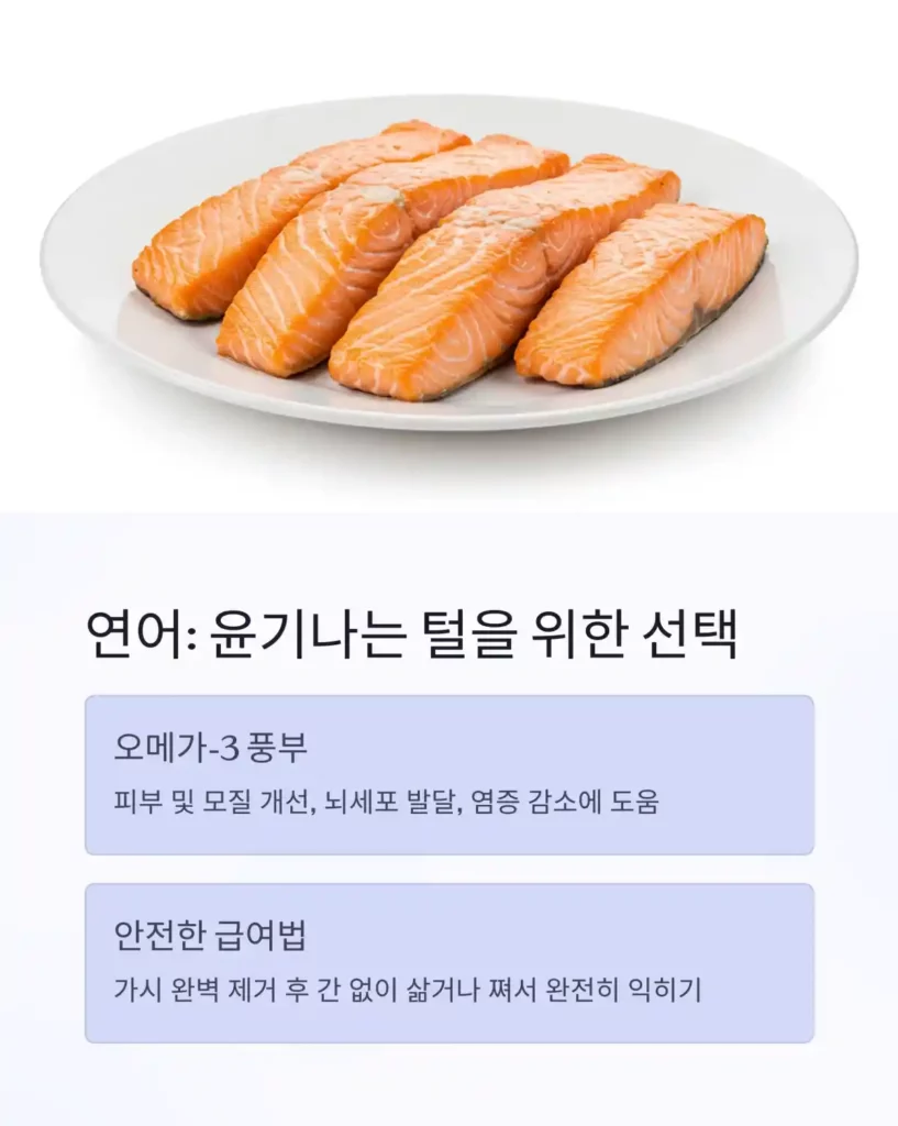 0 이미지 생성 사람과 고양이가 함께 먹어도 되는 음식은 05 연어 다이어트 식단