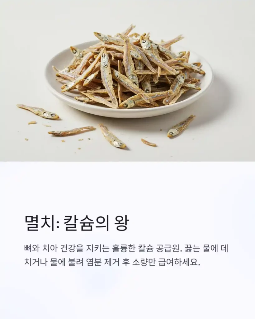 0 이미지 생성 사람과 고양이가 함께 먹어도 되는 음식은 06 멸치 음식 건강
