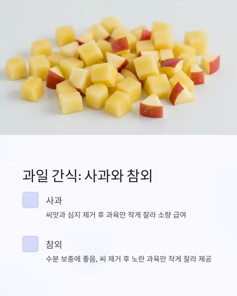 0 이미지 생성 사람과 고양이가 함께 먹어도 되는 음식은 09 사과 참외 다이어트 과일