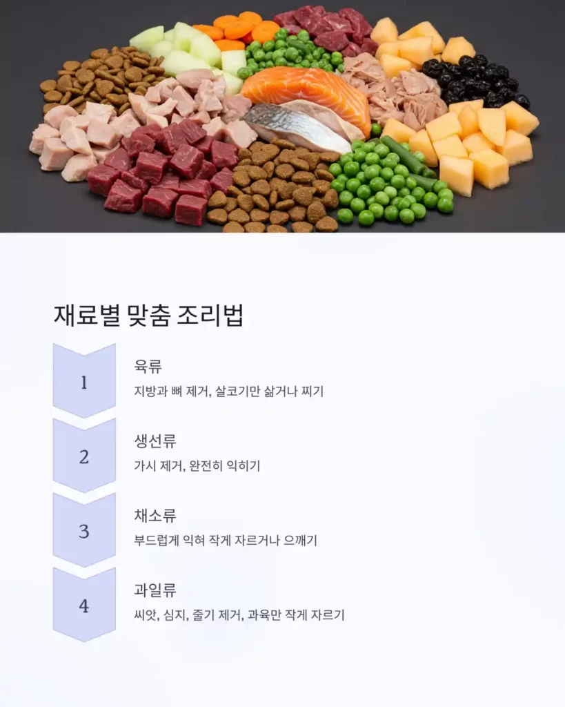 0 이미지 생성 사람과 고양이가 함께 먹어도 되는 음식은 11 식단 과일 다이어트 사료 고기