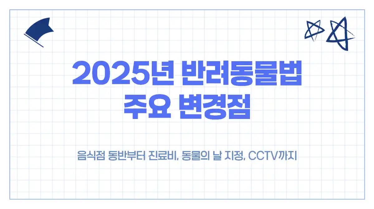 2025년 반려동물법 주요 변경점