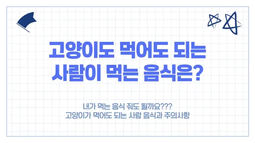 고양이와 함께 먹어도 되는 사람 음식 8가지와 주의사항은?