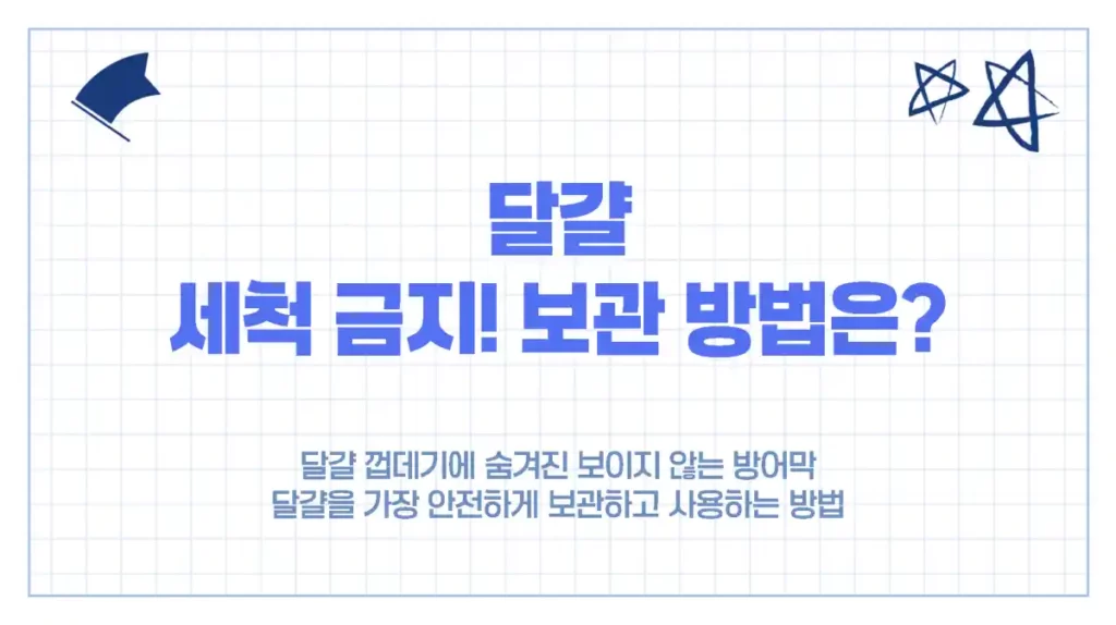 달걀, 씻으면 안 되는 이유와 올바른 보관 방법 총정리