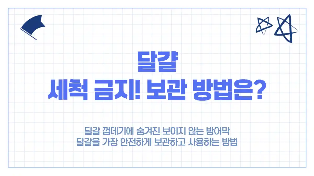 달걀, 씻으면 안 되는 이유와 올바른 보관 방법 총정리